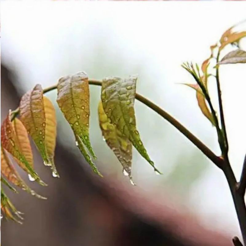 1681975482229689.jpg 640 (2).jpg